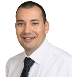 Mike  Ornelas Profile Photo