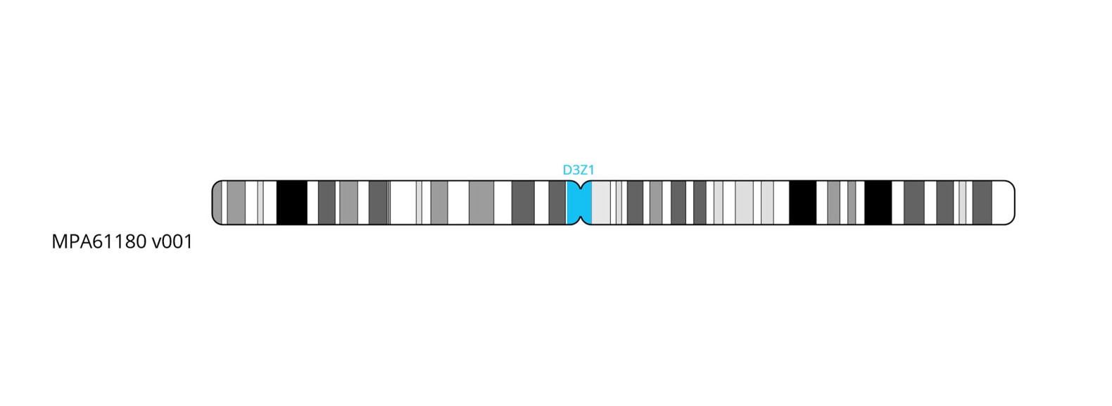 Fluorescence in situ hybridisation (FISH) chromosome map showing a probe targeting the centromere region on chromosome 3.
