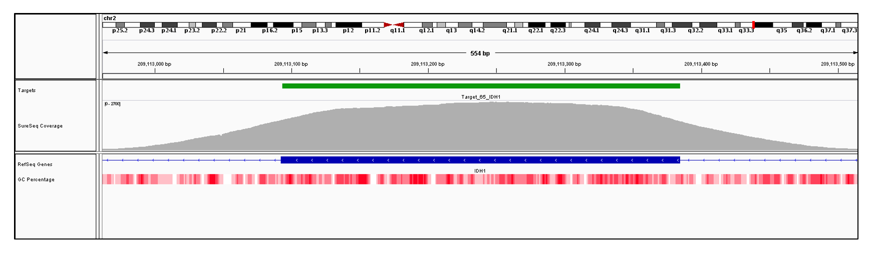 IDH1 Exon 4 (hg19 chr2:209113093-209113384). Depth of coverage per base (grey). Targeted region (green). Gene coding region as defined by RefSeq (blue). GC percentage (red). Image