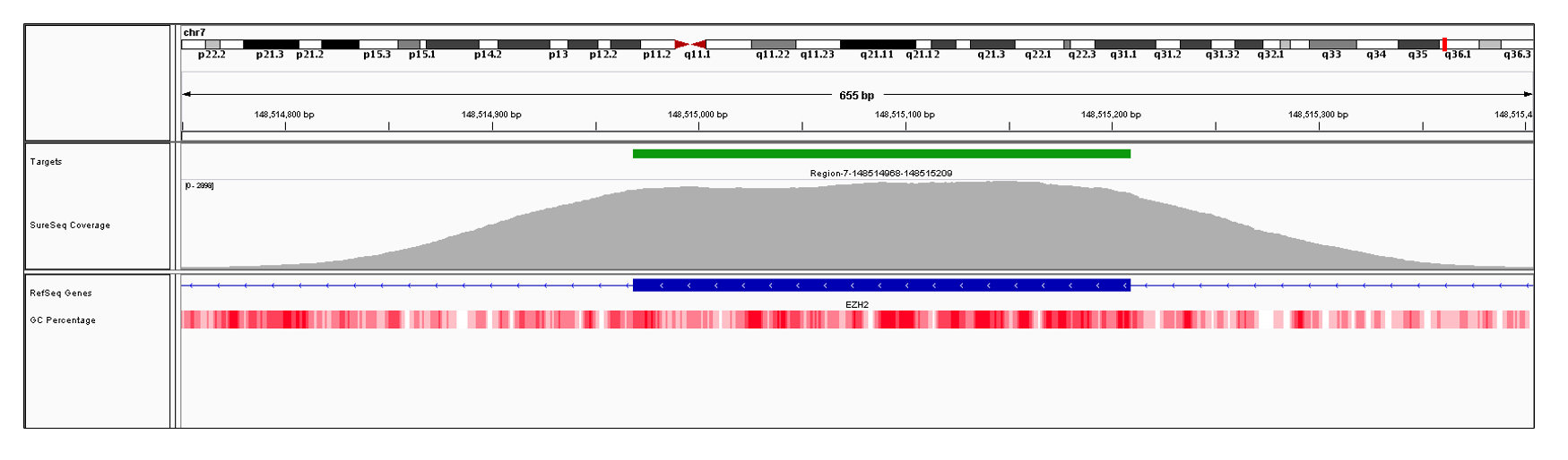 EZH2 Exon 10 (hg19 chr7:148514969-148515209). Depth of coverage per base (grey). Targeted region (green). Gene coding region as defined by RefSeq (blue). GC percentage (red). Image