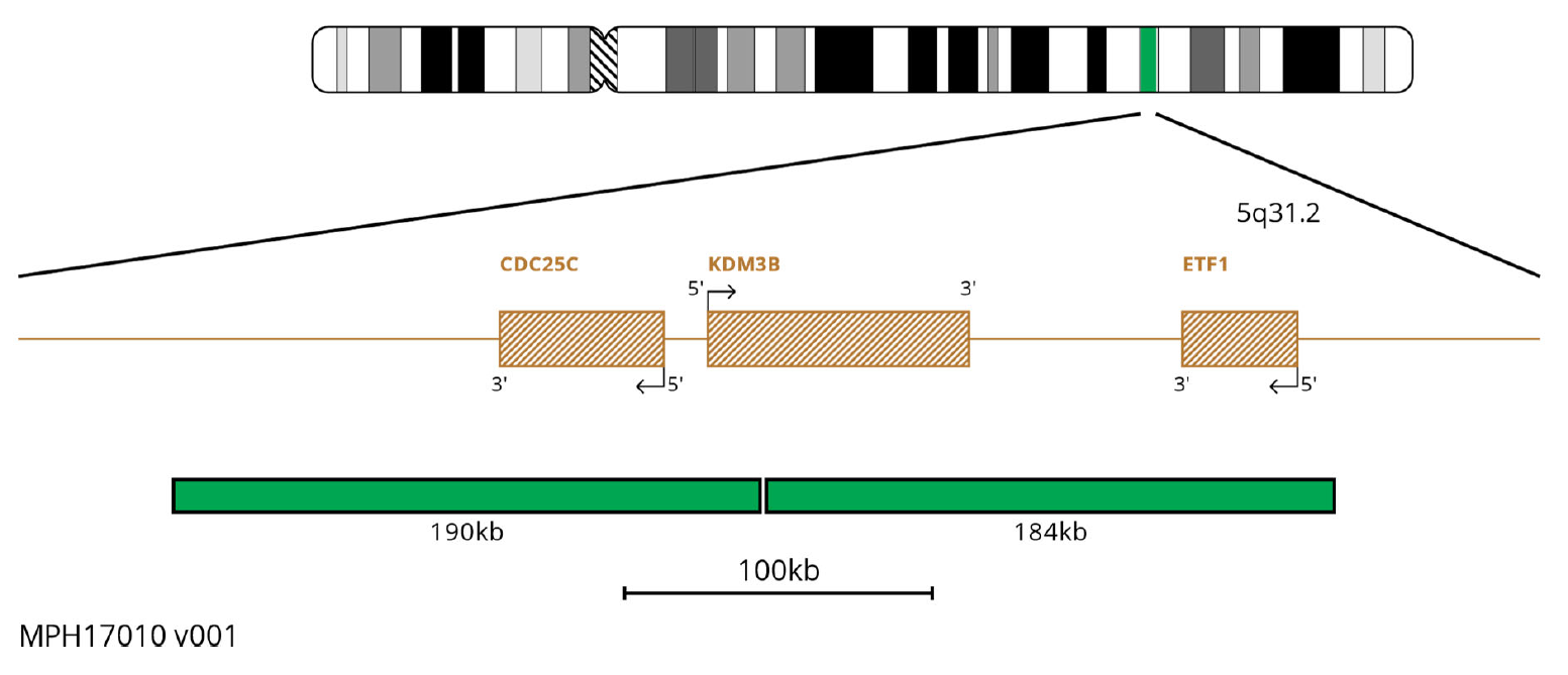 MPH17010 Del (5Q) Plus FISH Probe Chromosome Map 1