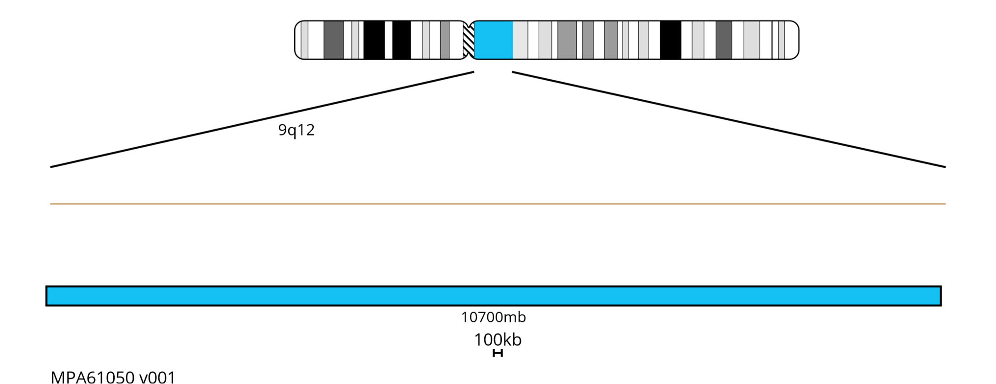 Fluorescence in situ hybridisation (FISH) chromosome map showing an aqua probe targeting the region 9q12.