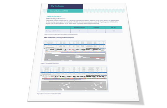 Array quality CNV detection with an NGS panel Image