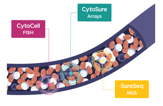 Come see us at AMP 2024! Image