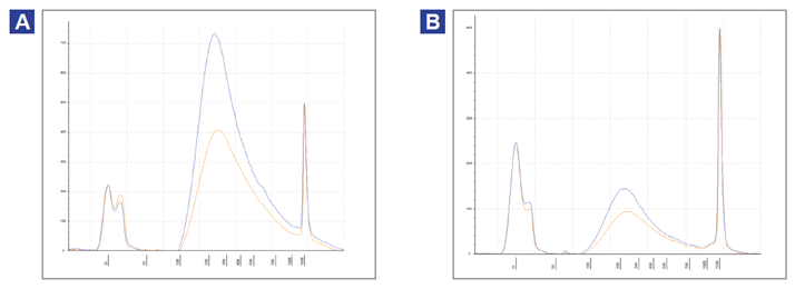 Figure 3: Agilent TapeStation traces of pre-capture libraries.