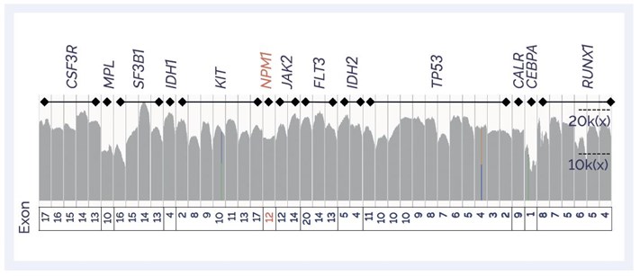 Figure 3: IGV plot showing coverage profile of target regions in the Panel