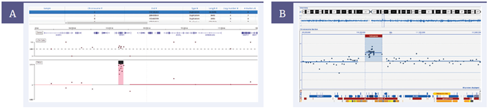 Figure 1: ~80kb duplication detected on chromosome 2