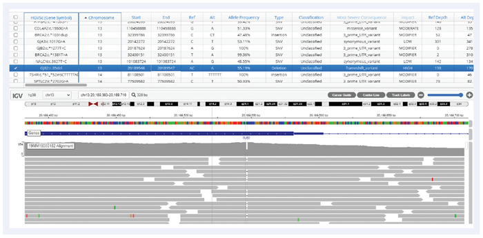 A frameshift variant within GJB2