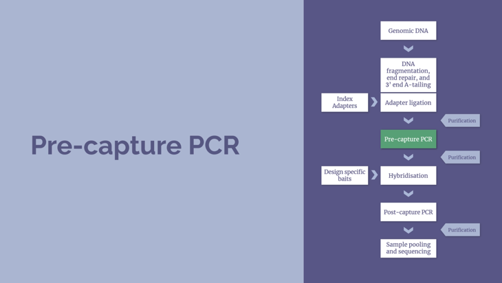 NGS workflow – Pre-capture PCR (4 minutes) Image