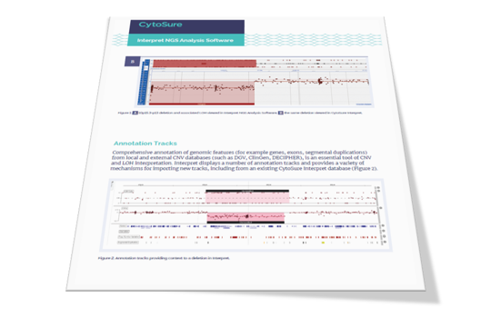 The CytoSure Constitutional NGS difference Image