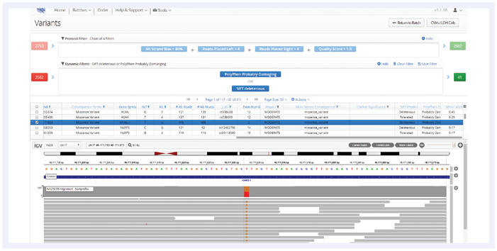 Filtering of SNVs based on in silico prediction tools to identify causative variants