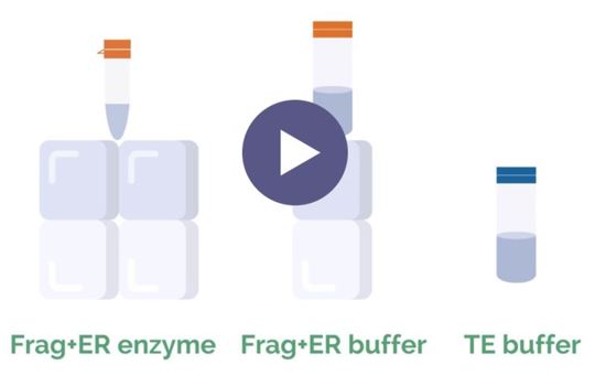 Reduce your NGS library prep time by 40% and streamline your workflow! Image