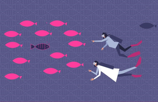 Driving FISH progress by working in partnership with our customers blog Image