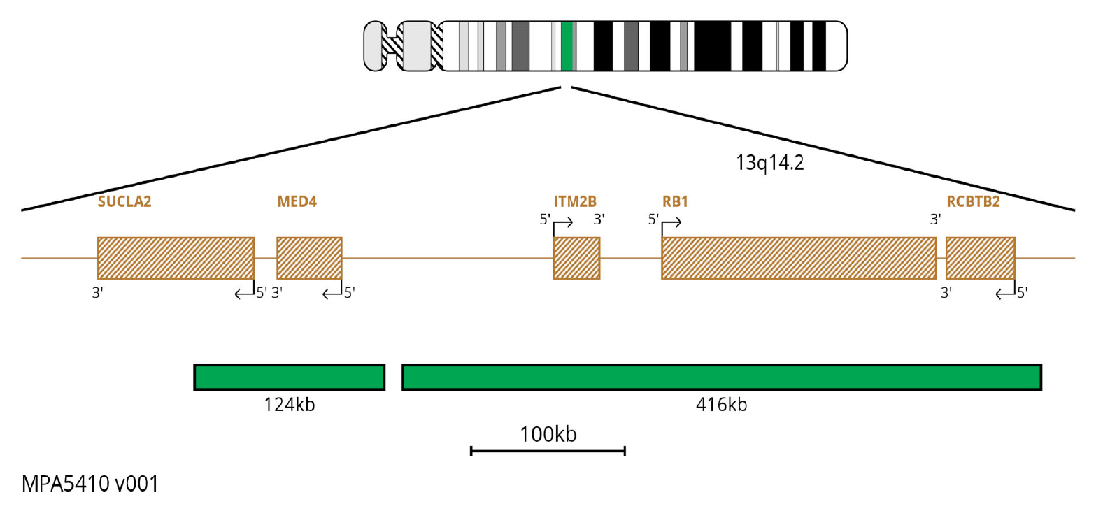 MPA5410 RB1 FISH Probe Chromosome Map