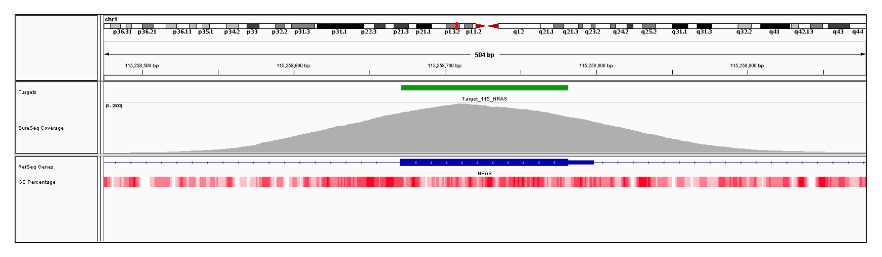 NRAS Exon 2 (hg19 chr1:115258671-115258798). Depth of coverage per base (grey). Targeted region (green). Gene coding region as defined by RefSeq (blue). GC percentage (red).  Image