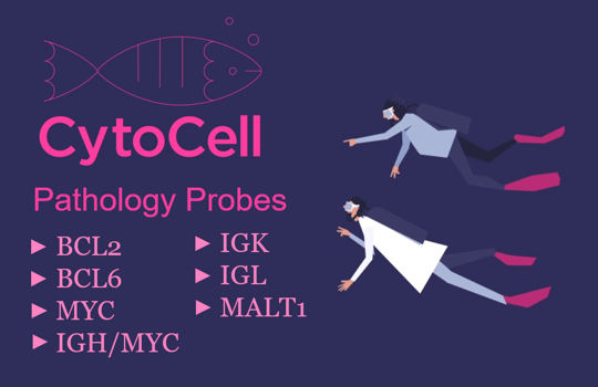 Evaluate our popular pathology FISH probes Image