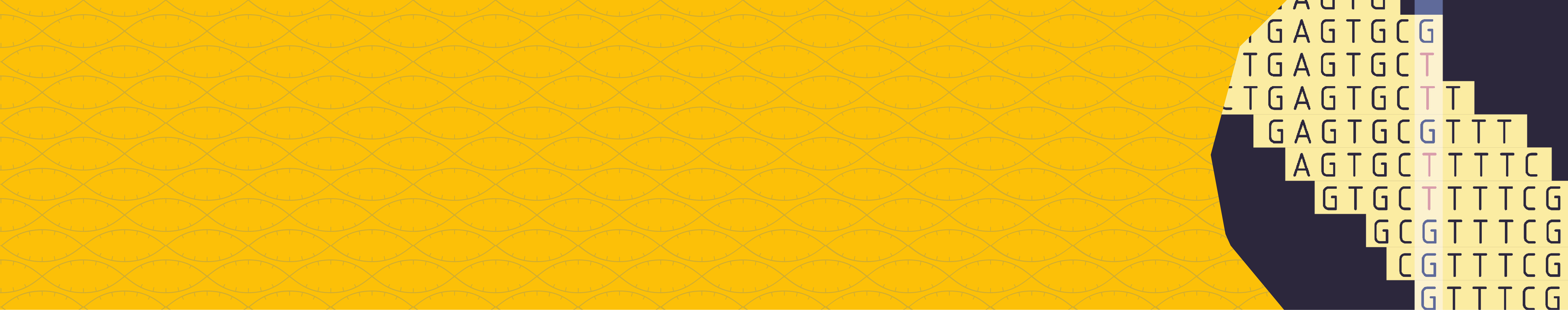 Pattern illustration of DNA helix with a yellow background and ATCG bases graphic for the SureSeq NGS product range.