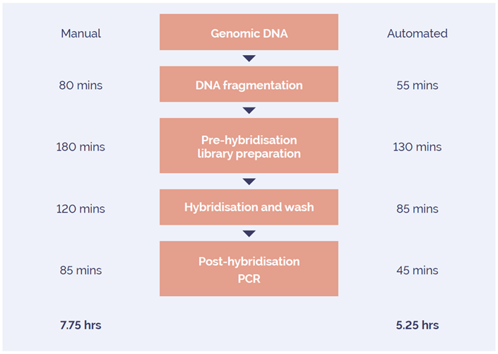 Figure 2: Hands-on time required to process 96 samples using enzymatic fragmentation through to sequence ready libraries