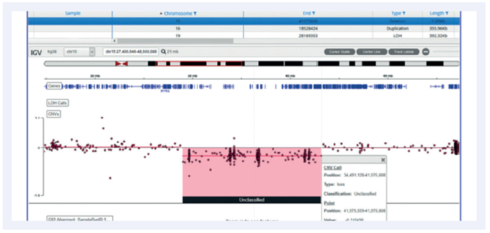 Figure 7: A mosaic deletion of 7Mb called in chromosome 15.