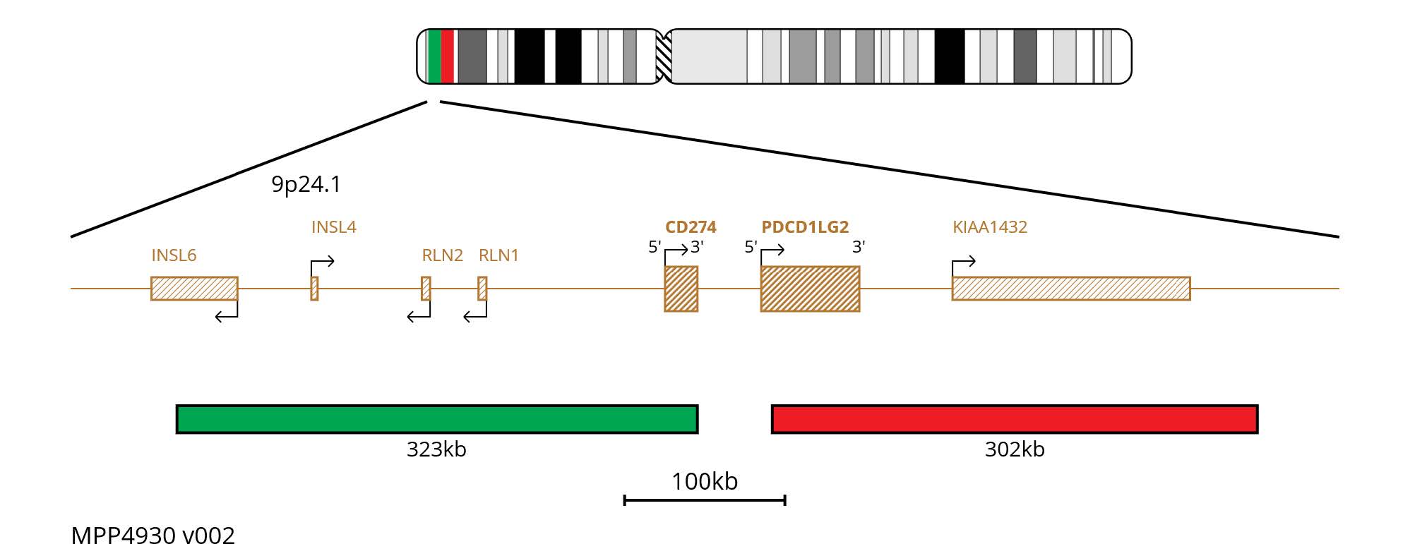 Fluorescence in situ hybridisation (FISH) chromosome map showing probes targeting the CD274 and PDCD1LG2 genes.