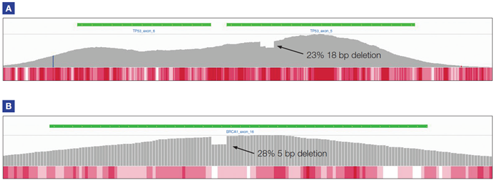 Figure 5: TP53 exon 6 (panel A) and BRCA1 exon 16 (panel B).