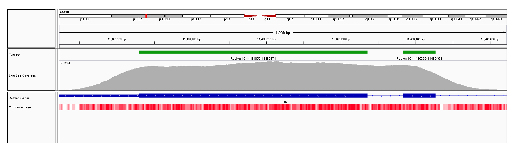 EPOR Exons 7 (hg19 chr19:11489367-11489454) and 8 (hg19 chr19:11487881-11489271). Depth of coverage per base (grey). Targeted region (green). Gene coding region as defined by RefSeq (blue). GC percentage (red). Image