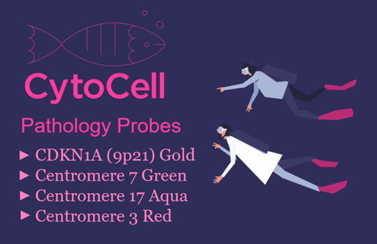 Evaluate our popular pathology FISH probes Image
