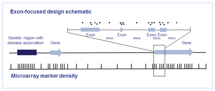 Example of exon-focused design, as used on the CytoSure Constitutional v3 array
