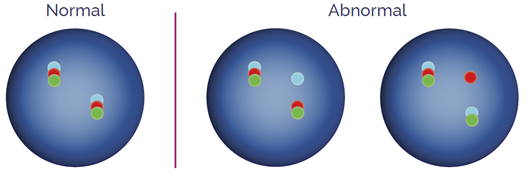 Tri-colour breakapart probes