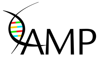 AMP Listing