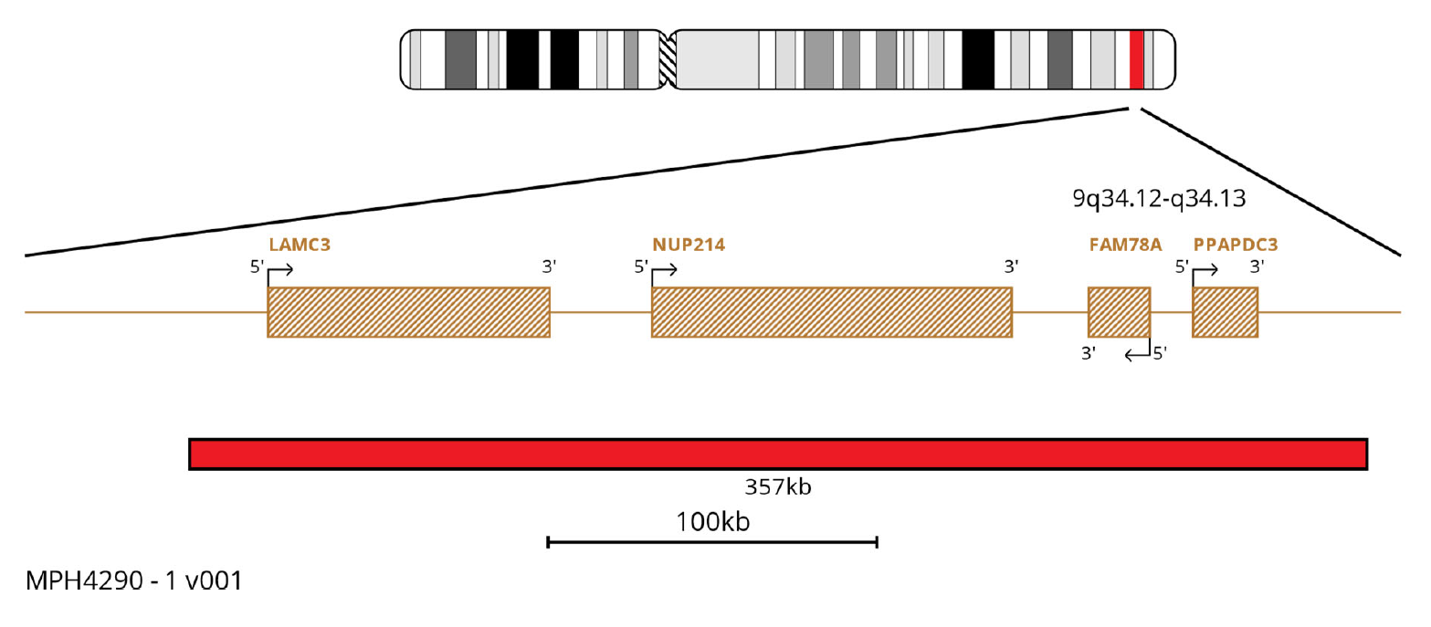 MPH4290 NUP214 Translocation, Dual Fusion FISH Probe Chromosome Map