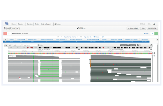 Reliably detect PTDs and translocations in a single NGS assay Image
