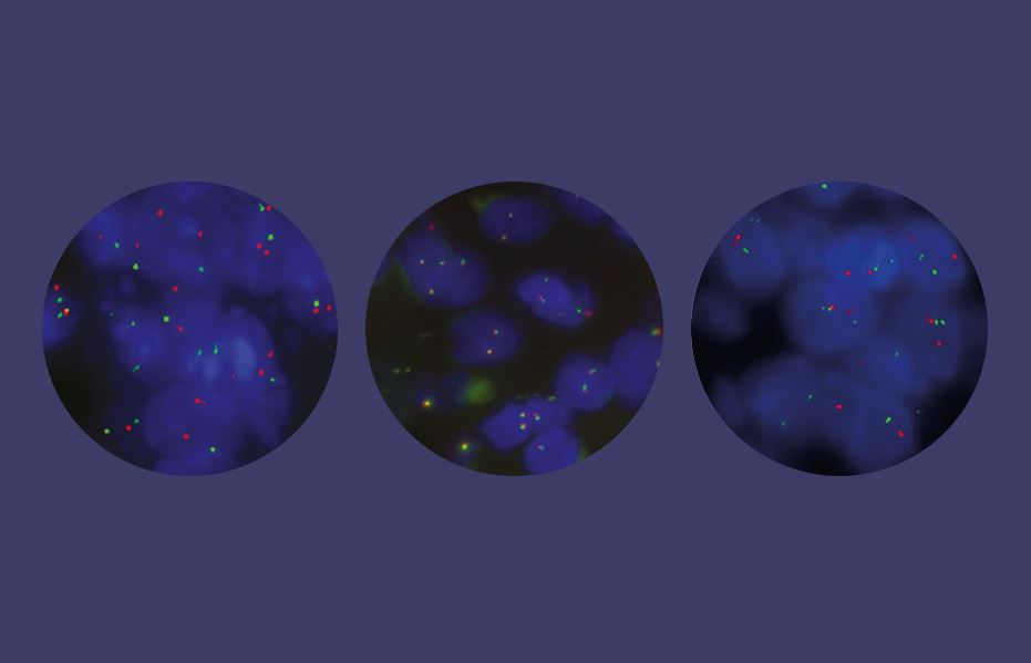 DNA Dispatch newsletter - May 2023
