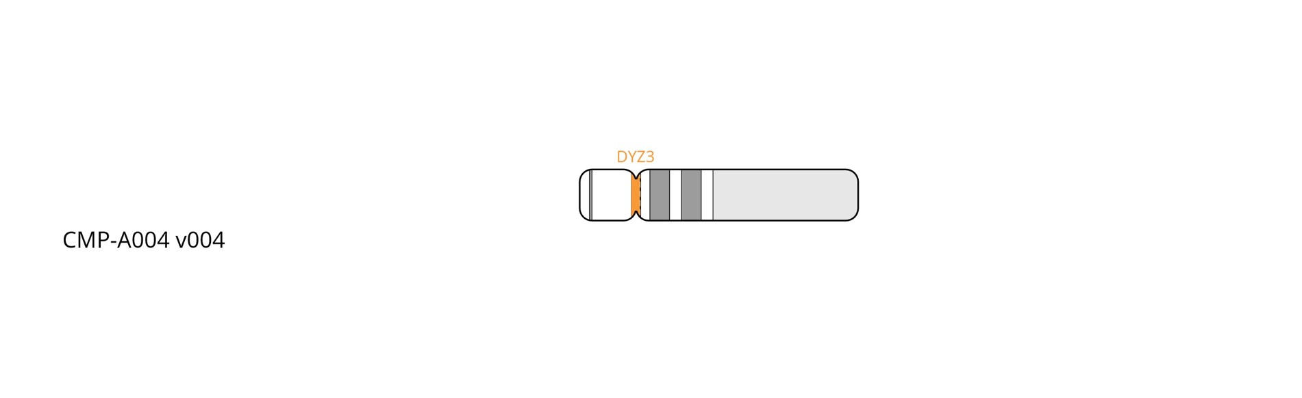 Fluorescence in situ hybridisation (FISH) chromosome map showing an orange probe targeting the Y centromere region.