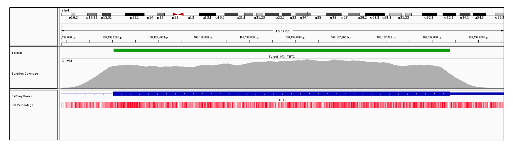 TET2 Exon 11 (hg19 chr4:106196205-106200960). Depth of coverage per base (grey). Targeted region (green). Gene coding region as defined by RefSeq (blue). GC percentage (red). Image