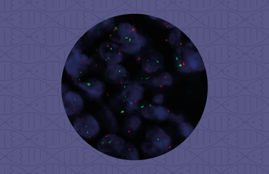 Time to update your ALL research workflow? Image