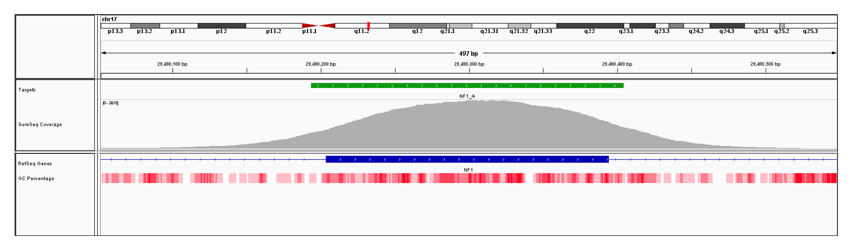 NF1 Exon 4 (hg19 chr17:29490204-29490394). Depth of coverage per base (grey). Targeted region (green). Gene coding region as defined by RefSeq (blue). GC percentage (red). Image