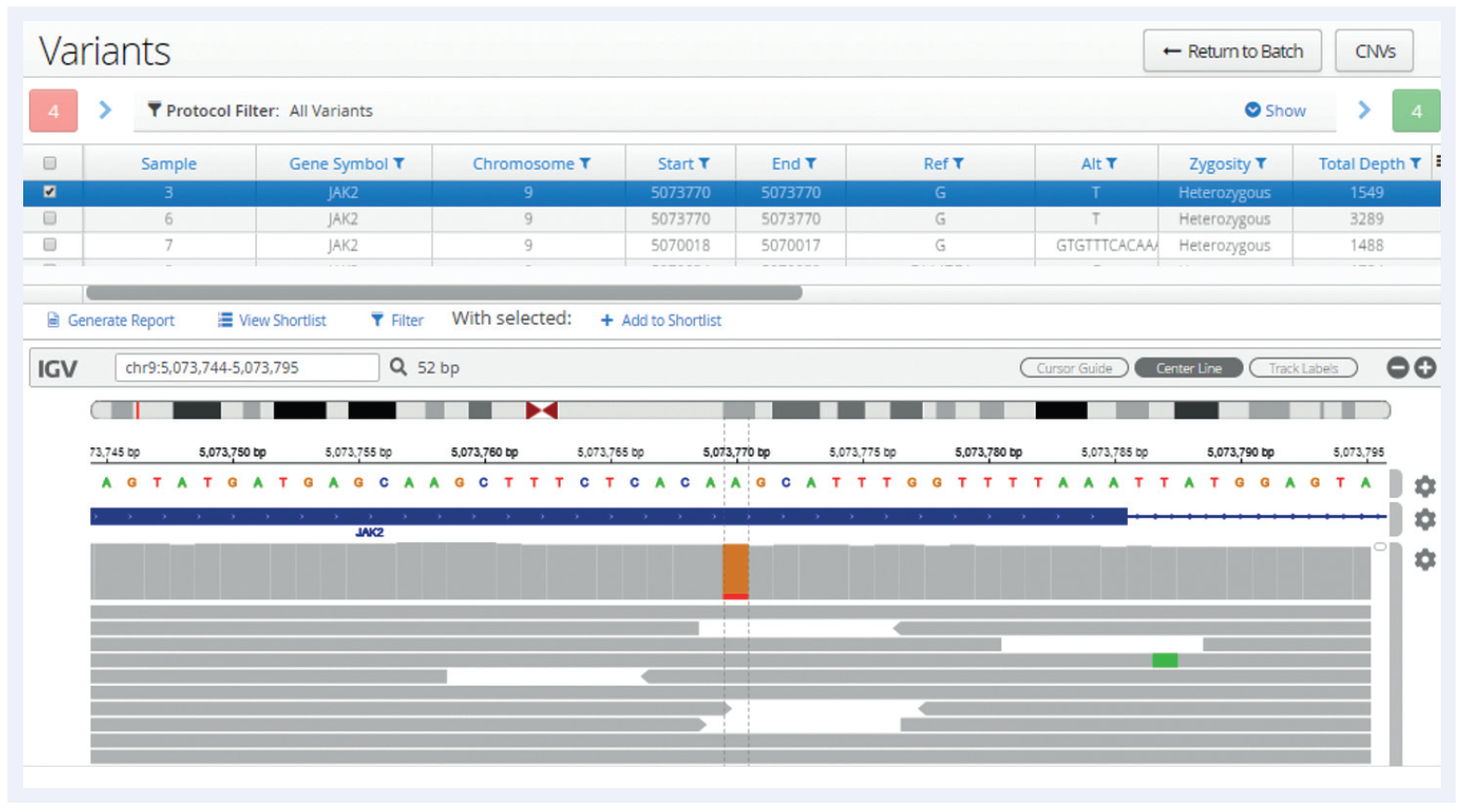 Figure 1: Following analysis, all variants are displayed in a table, below which is an Integrative Genomics Viewer (IGV)2 window allowing a more detailed review of the data and additional verification. In this example a low-frequency JAK2 V617F SNV has been selected and the user is able to view the aligned reads generated by the pipeline.
