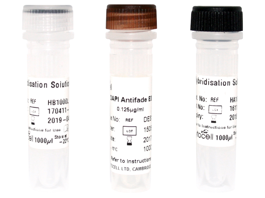 FISH accessories Image