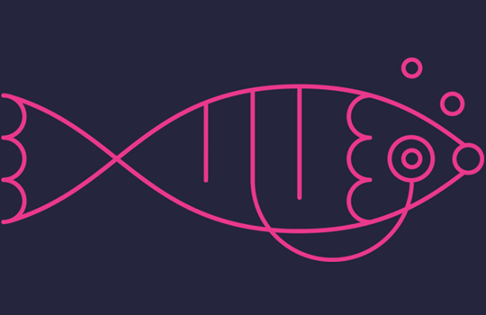 FISH Tips and Tricks Image