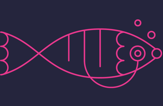 FISH Tips and Tricks Image