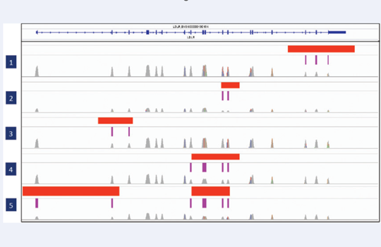 CytoSure Comprehensive FH NGS Panel Image