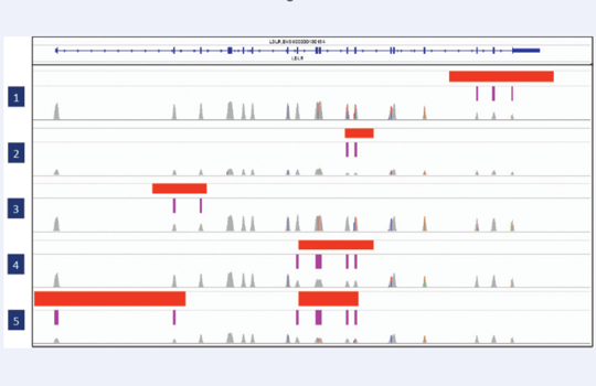 CytoSure Comprehensive FH NGS Panel Image