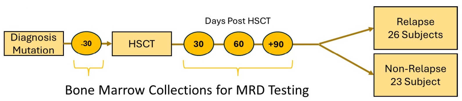 Bone marrow collections for MRD testing