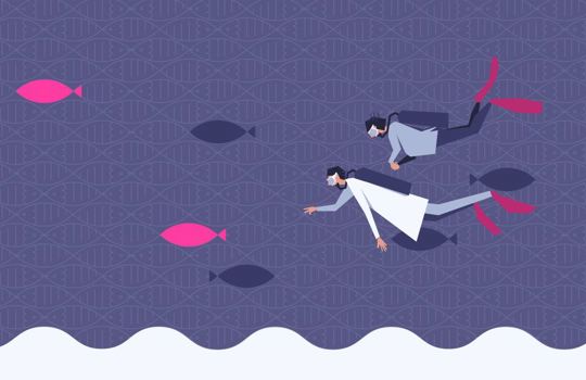 Limited-time opportunity! Image