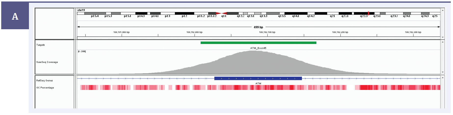 Figure 3a: Illustration of the excellent uniformity of coverage of ATM exon 45. Targeted region (green). Gene coding region as defined by RefSeq (blue). GC percentage (red).