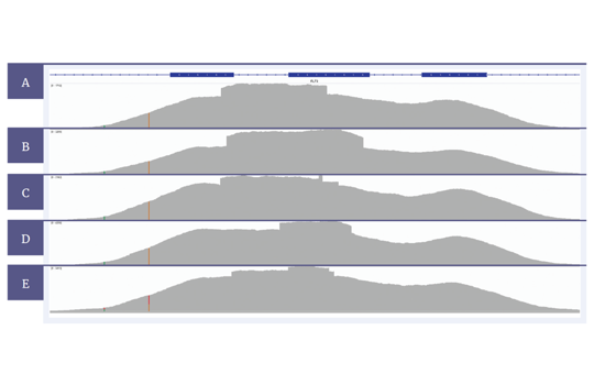 A comprehensive genomic profile for myeloid disorders in a single NGS assay Image