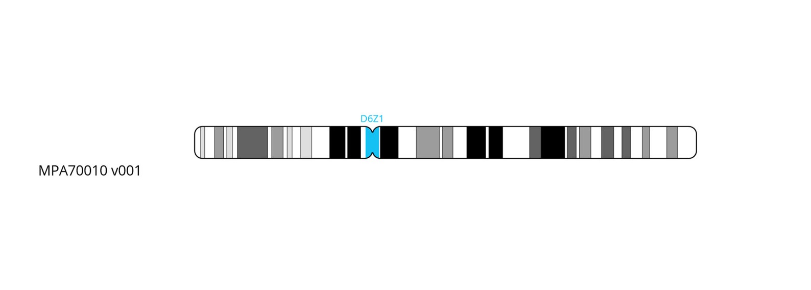 Fluorescence in situ hybridisation (FISH) chromosome map showing a probe targeting the centromere region on chromosome 6.