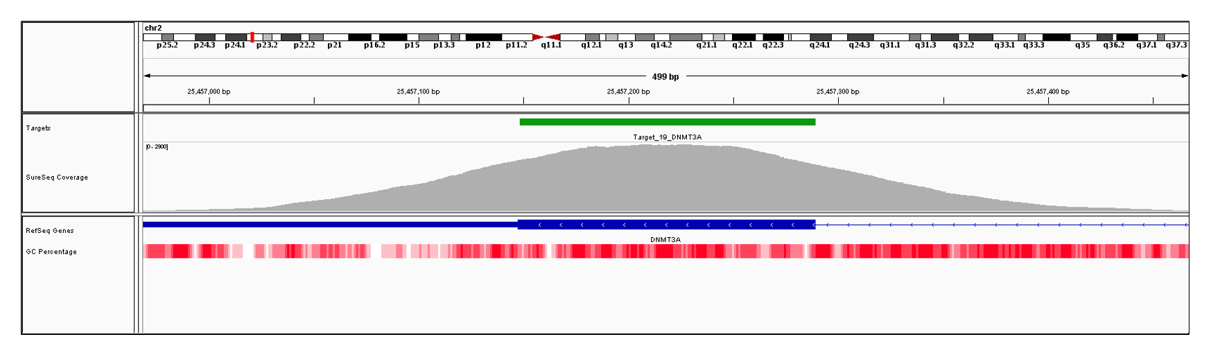 DNMT3A Exon 23 (hg19 chr2:25455830-25457289). Depth of coverage per base (grey). Targeted region (green). Gene coding region as defined by RefSeq (blue). GC percentage (red). Image