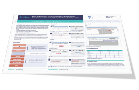 A new NGS assay for detecting ID / DD aberrations Image